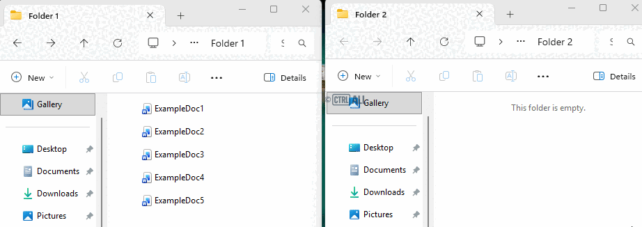 Copy and paste multiple file using Ctrl
